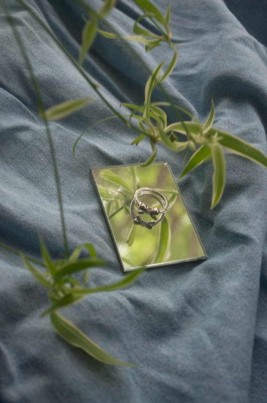 Chlorophytum